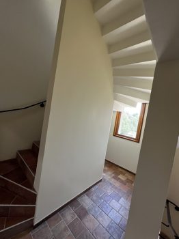 IMG_20250626_165325[1]